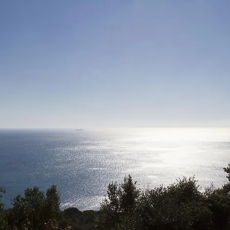 Le Freise