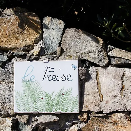 Le Freise *
